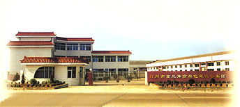 紙質磚型液體包裝機,雙色軟糖澆灌機 浙江省臺州市賽特食品設備廠 公司介紹